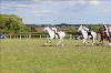 UKPA  NC Sat_1275